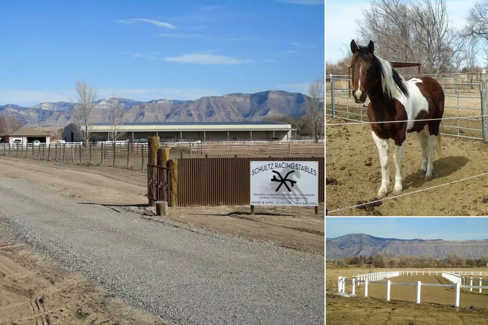 $1.8 Million House + Racing Stables For Sale in GJ