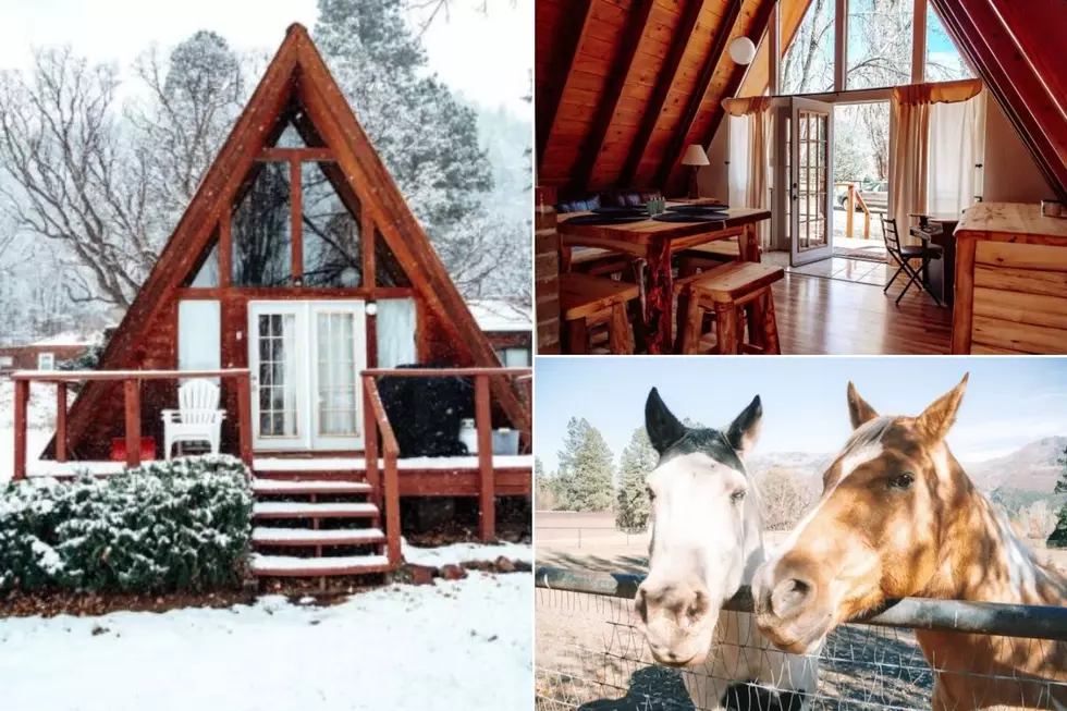 Airbnb: Country Chalet in Durango Has Horses as Your Neighbors