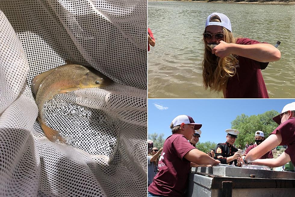 Palisade High Releases Endangered Native Fish Into Colorado River
