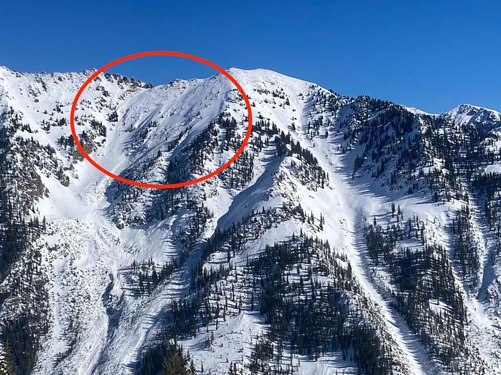 Colorado Skier Escapes Huge and Powerful Avalanche,Clings To Tree