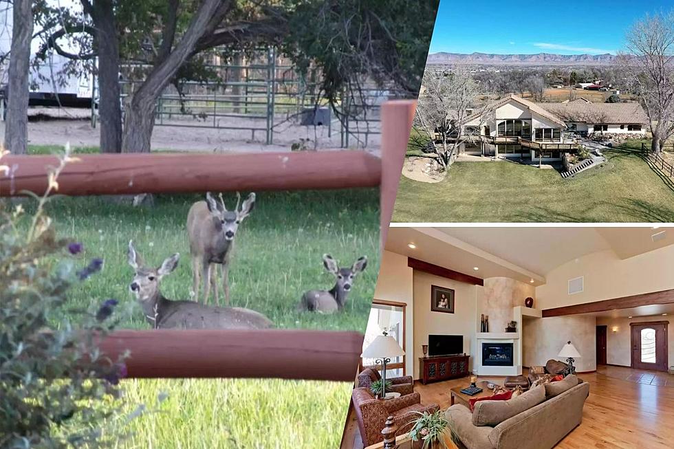 $1.8 Million Grand Junction Home on 10 Acres Has Own Creek + Pond