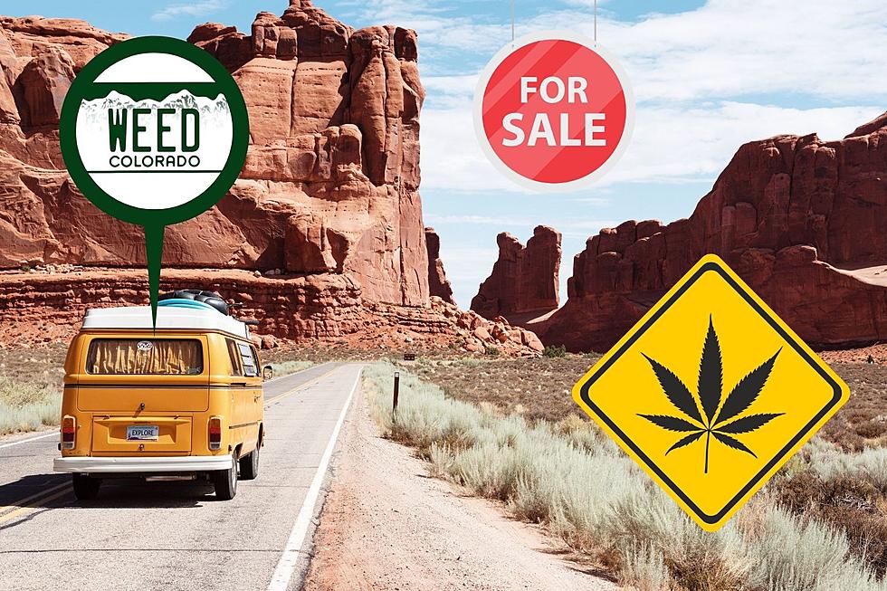 Limited Time Only: Marijuana Themed Colorado License Plates on Sale