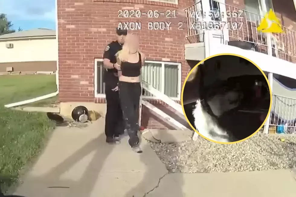Ruthless Colorado Police Choke Dog + Arrest 14 Year Old Girl Over Slap