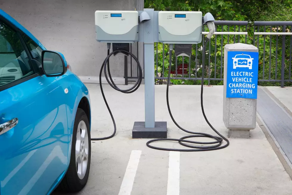How Popular Are Electric Vehicles in Colorado?