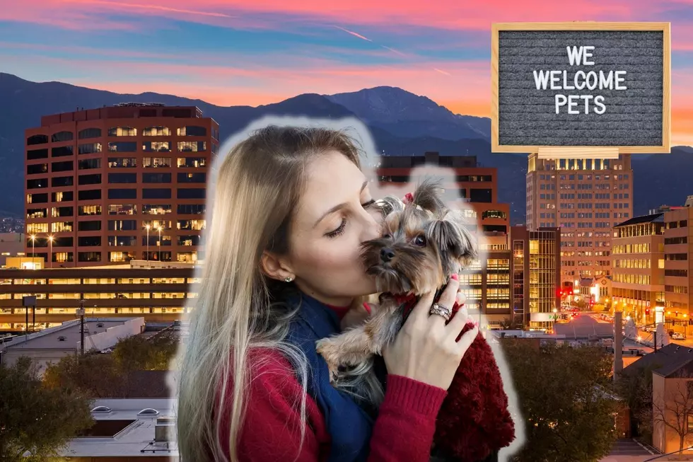 Two Paws Up For the Top 3 Most Pet-Friendly Cities in Colorado