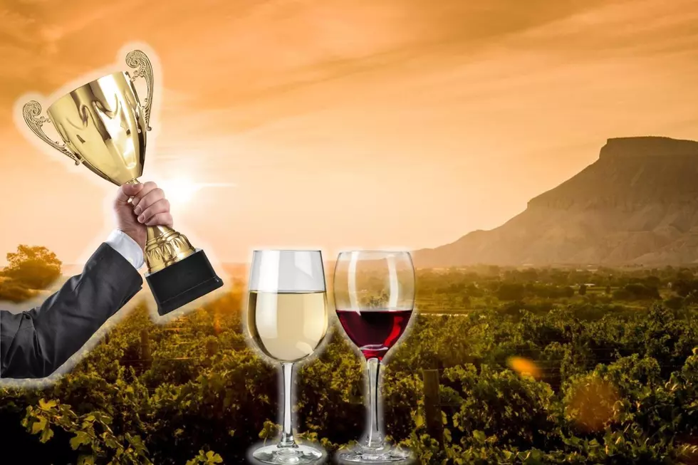 The Best Wine In Colorado: 2022 Governor&#8217;s Cup Winners