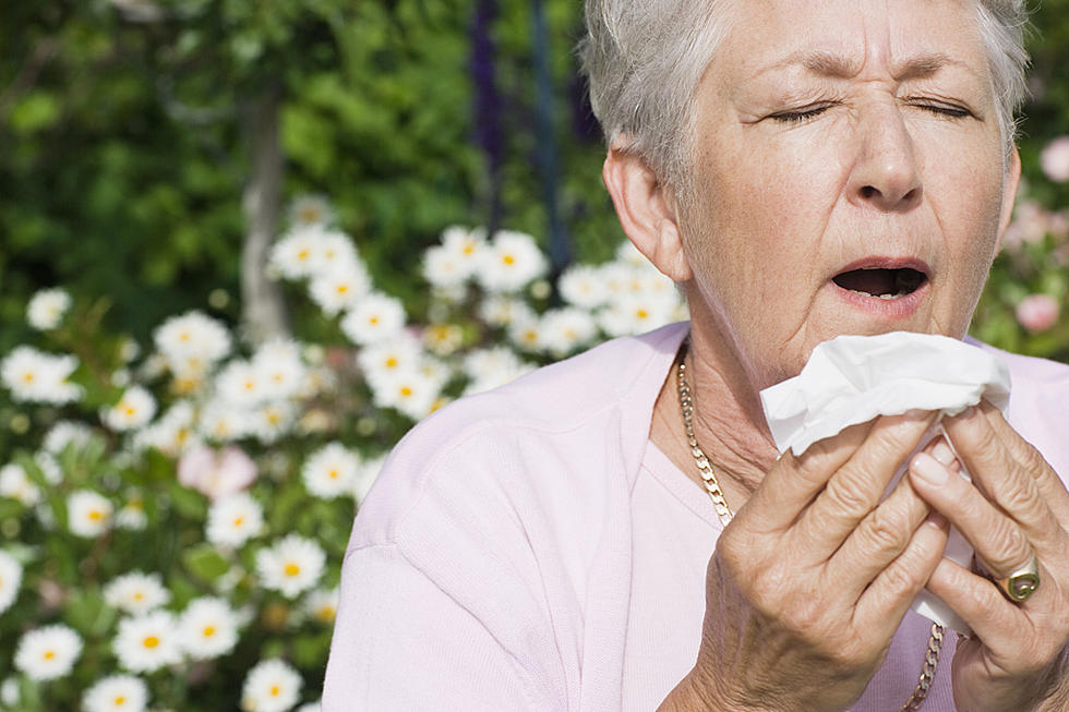 Are Allergies Getting the Best of You? – Survey of the Day