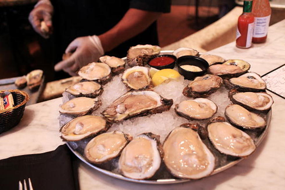 Free Oysters in Fort Collins