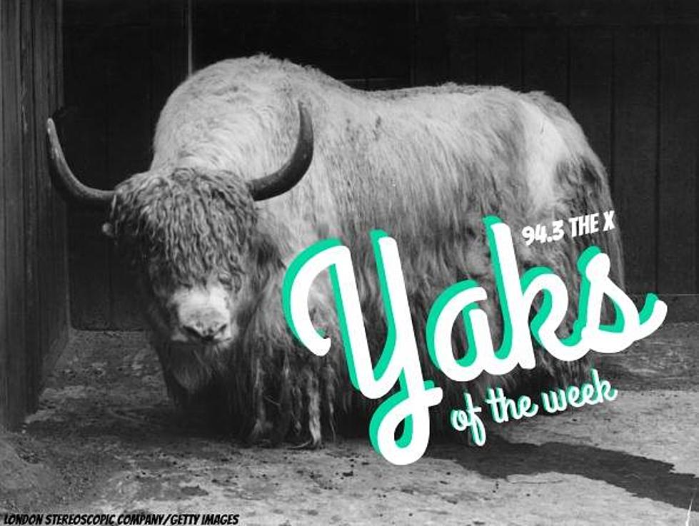 Yaks of the Week [AUDIO]