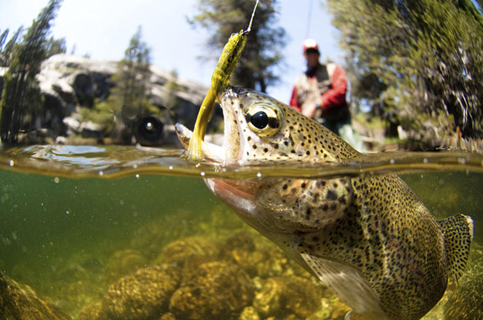 Colorado’s 2016 Free Fishing Days and Youth Fishing Fest