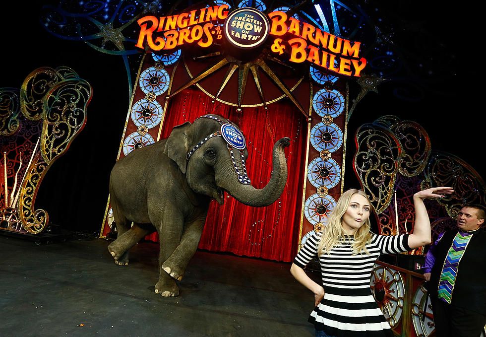 Ringling Brothers Circus Is Closing Down After 146 Years