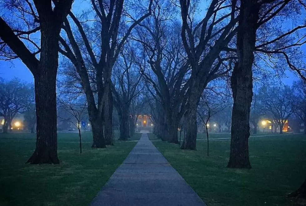 Fort Collins Fog Makes Oval Look Straight Out of a Horror Film [PHOTO]