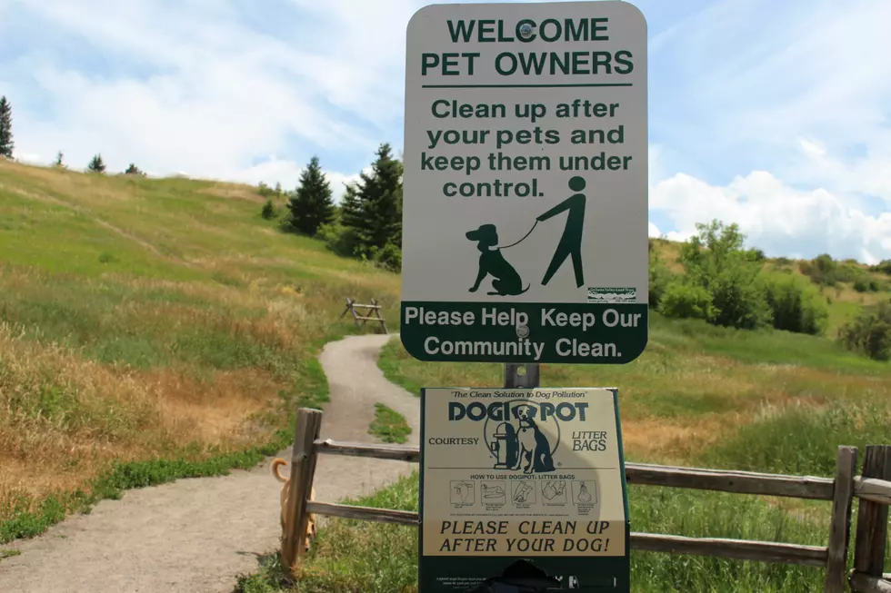 A Colorado Town Considers DNA Testing Dog Poop to Catch Lazy Owners