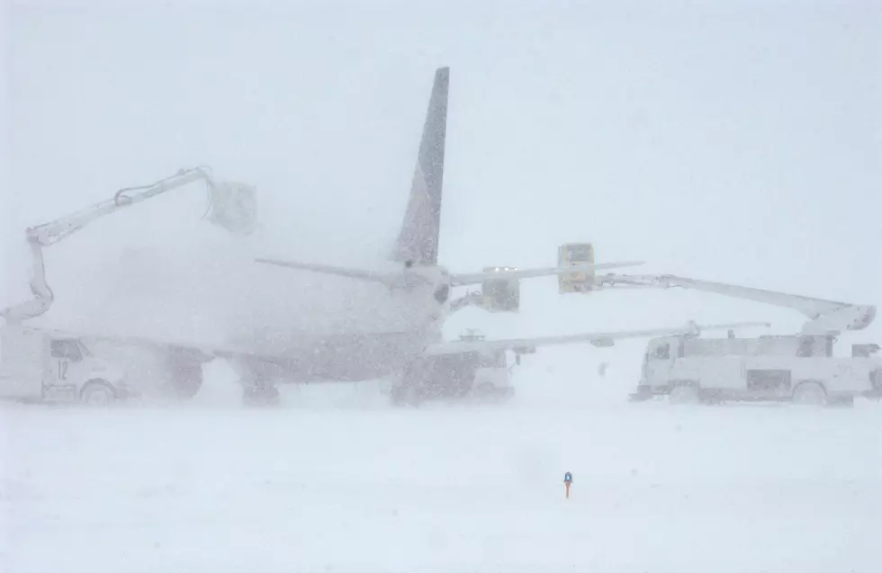 Over 200 Tuesday Flights Already Cancelled at DIA