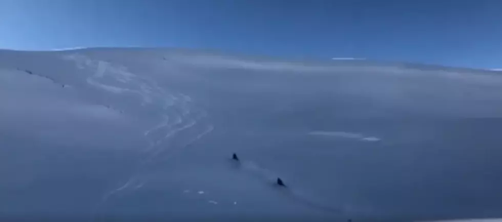WATCH: Video Shows Snowmobile Triggering Avalanche, Rider Gets Buried