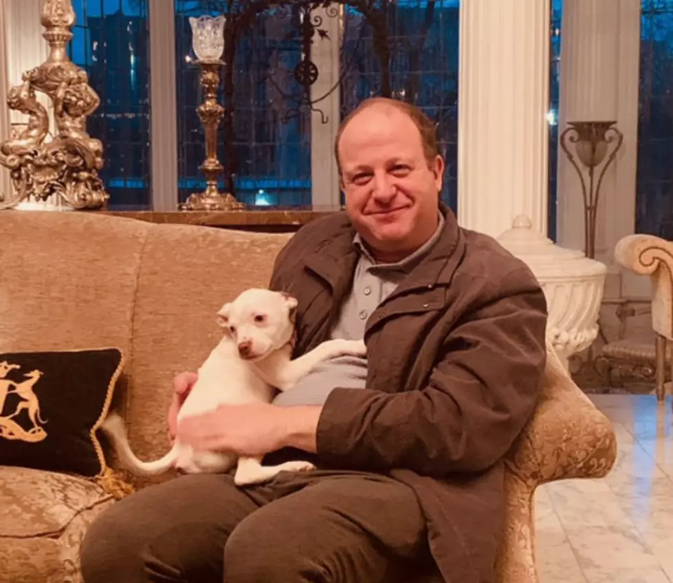 Governor Polis Posts Pic With Pit Bull Days After Denver Mayor Bans Them