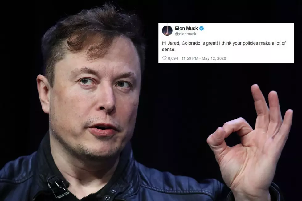 Elon Musk and Polis Tweet Each Other Over Tesla Move to Colorado