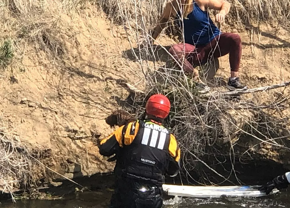 Poudre Fire Authority Rescues Dog From Canal in Fort Collins
