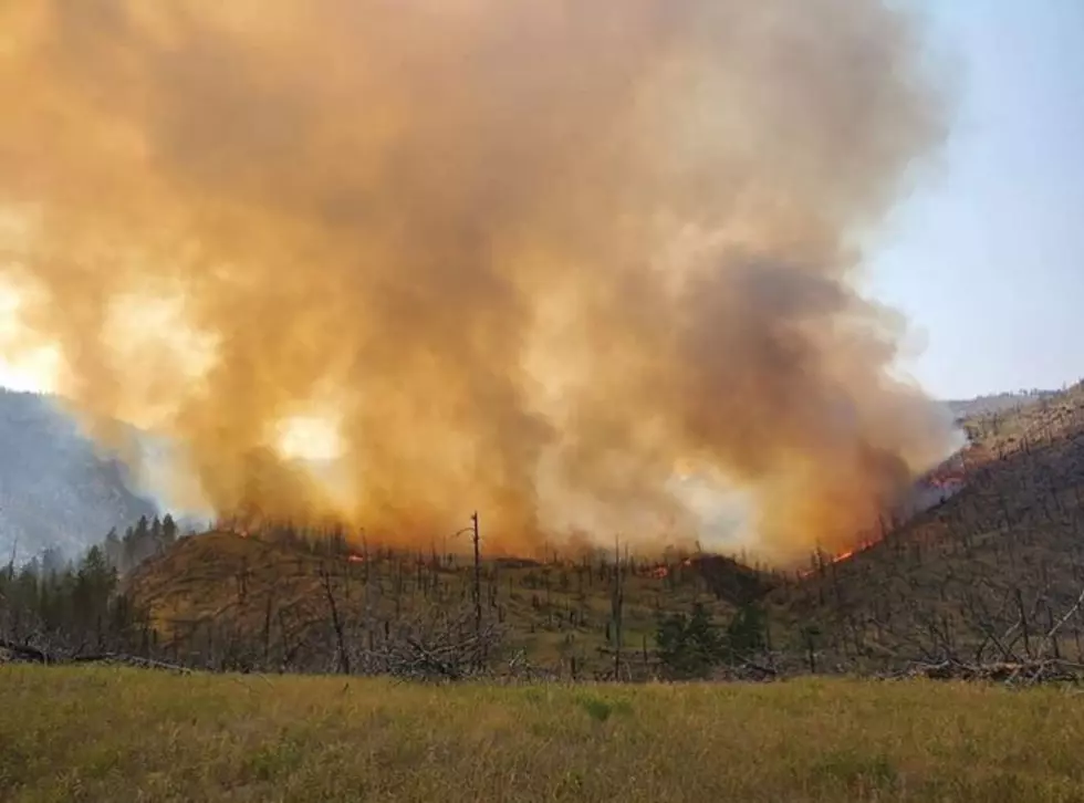 UPDATE: Lewstone Fire Near Fort Collins at 165 Acres