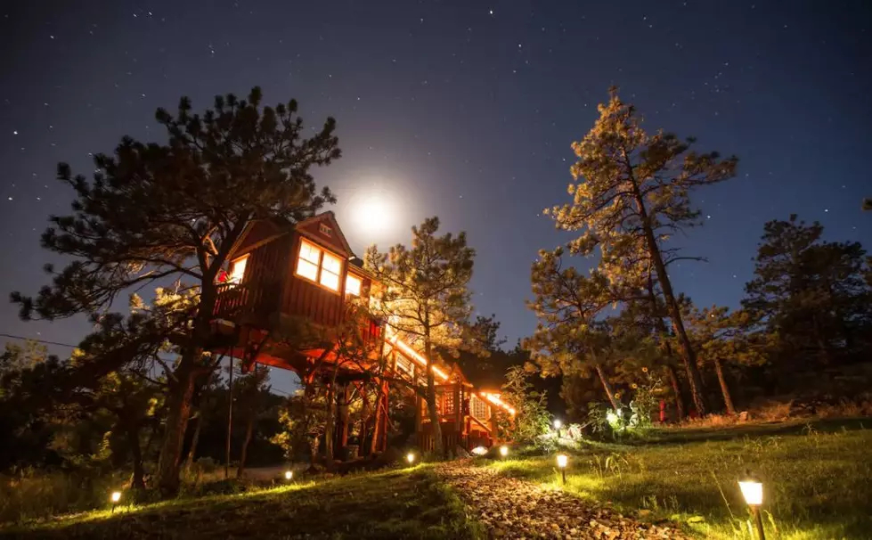 5 Colorado Treehouses You Can Nest in For a Night (or a Few)