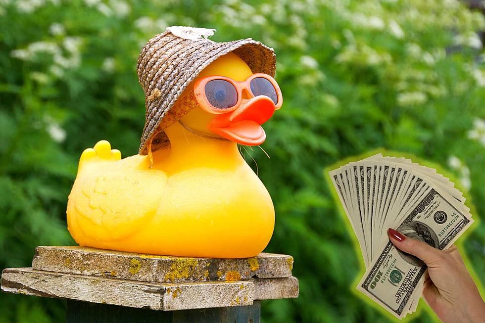 Swimming in Cash: Estes Park&#8217;s 2023 Duck Race Could Score You Ten Grand