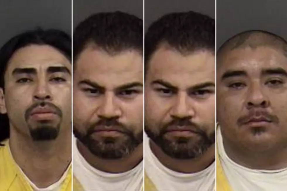 Multiple People Arrested in Mesa County Guns + Drug Bust