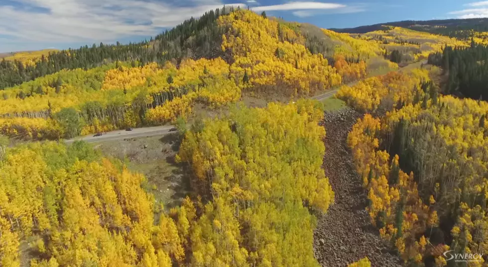 Check Out This Amazing Video of the Grand Mesa Fall Colors (VIDEO)