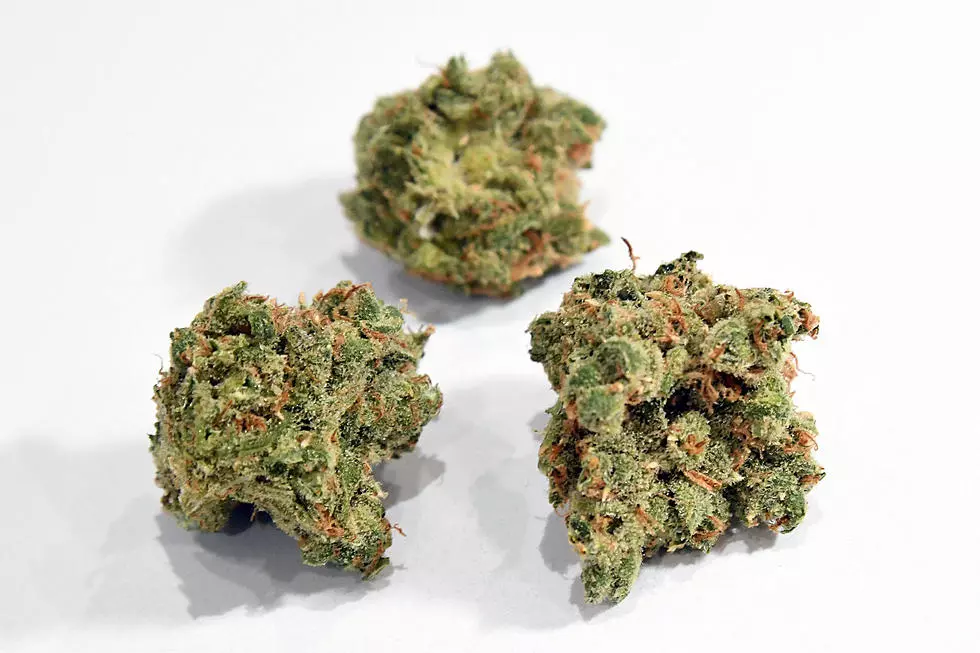Colorado’s Top 10 Highest THC Cannabis Strains