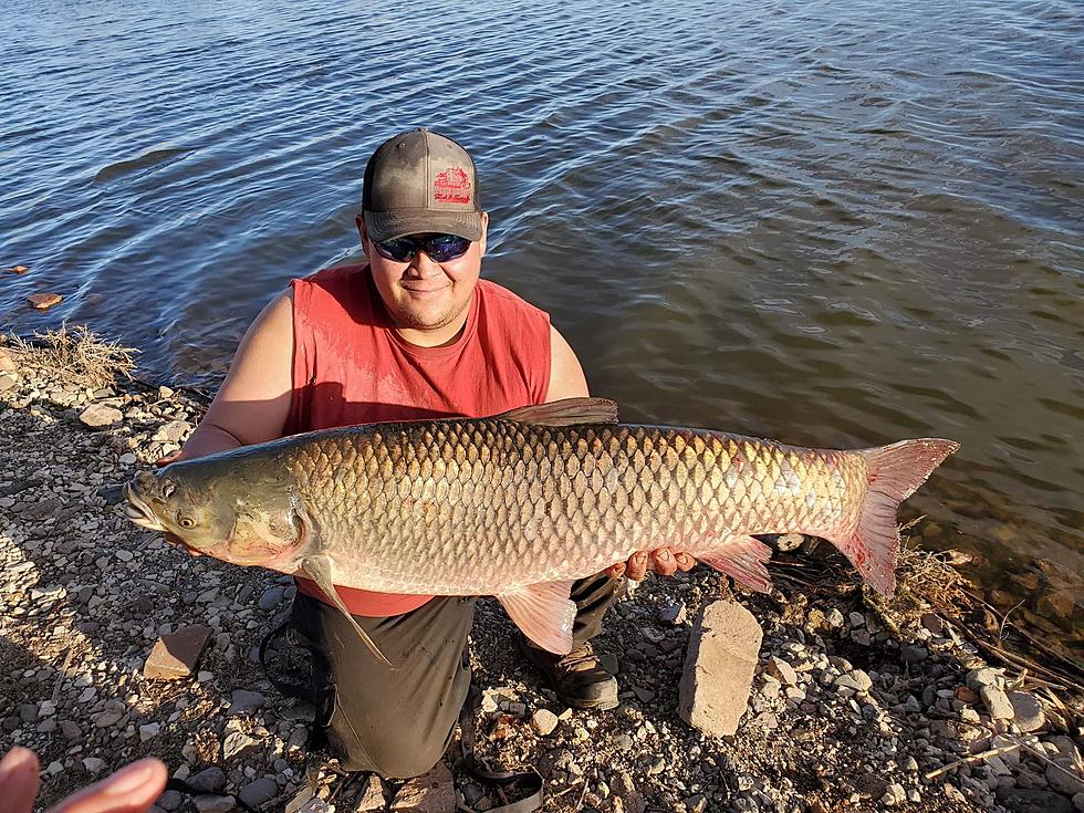 Nice Catch: Fisherman Lands Giant Carp in Southern Colorado