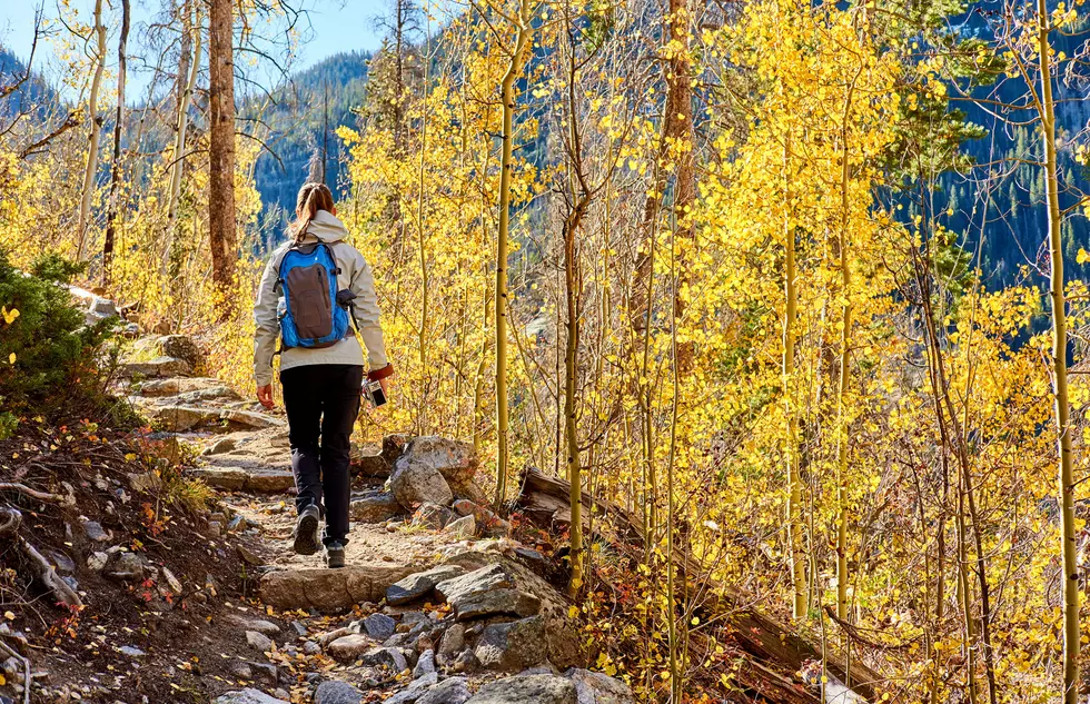 Colorado’s Fall Colors Are Almost in Full Swing