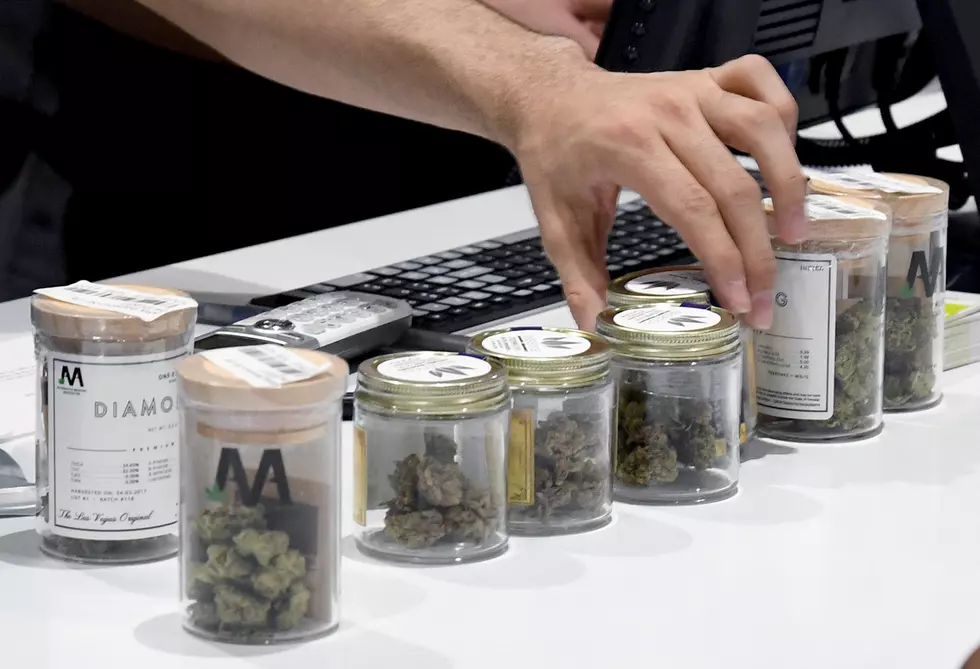 Colorado Recalls Marijuana Edibles For Being Too Strong
