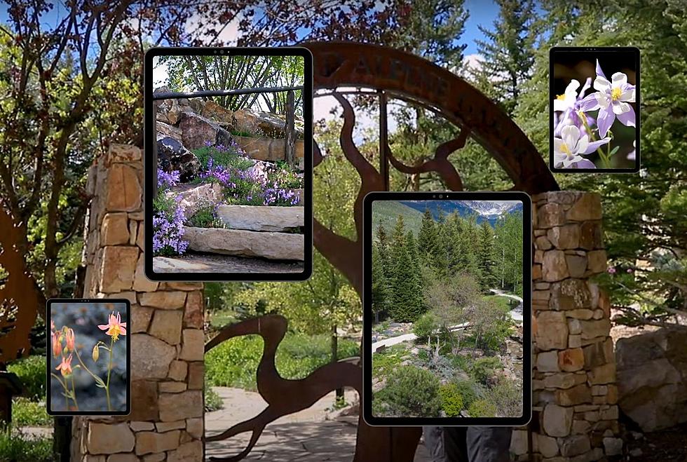 Vail Colorado is Home to the World’s Highest Botanical Garden