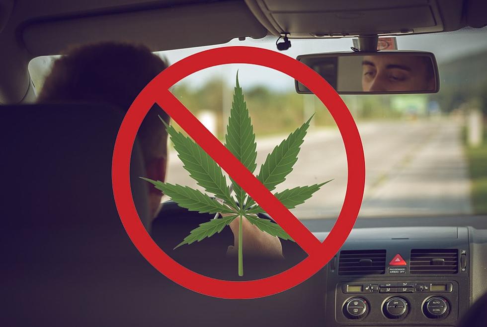 CDOT Offers Free Ride Home From this Year’s 4/20 Festival