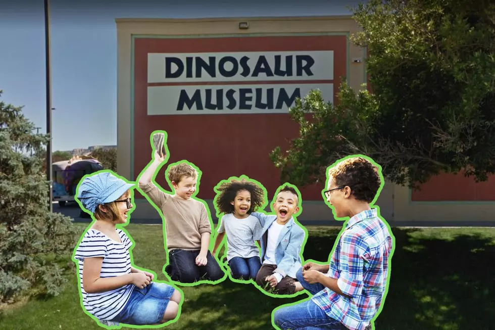 Dig For Dinosaur Bones with the Kids in Colorado This Summer
