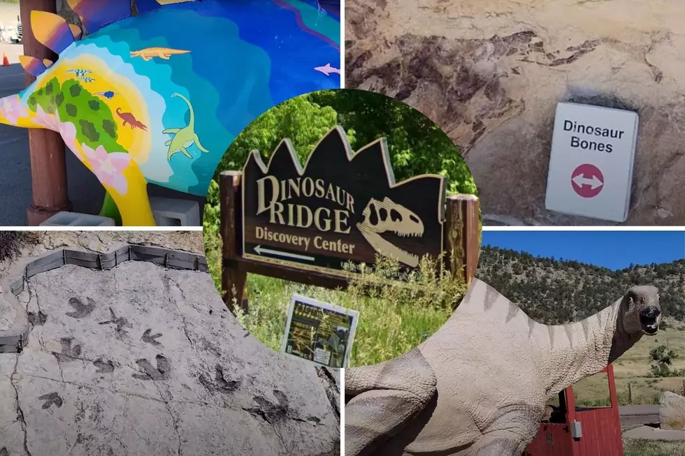 Check out Colorado’s Fun and Educational Dinosaur Ridge