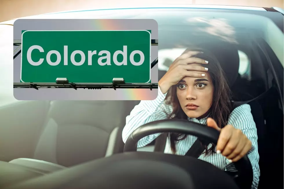 25 Types of Drivers You&#8217;ll Encounter in Colorado