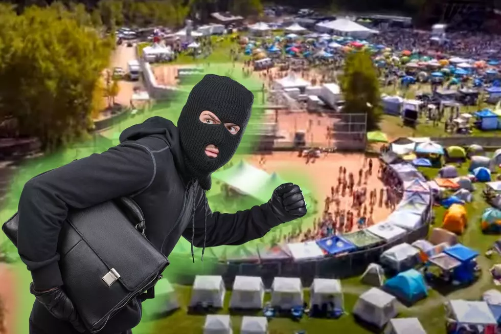 Police Looking for Colorado Music Festival Bandits