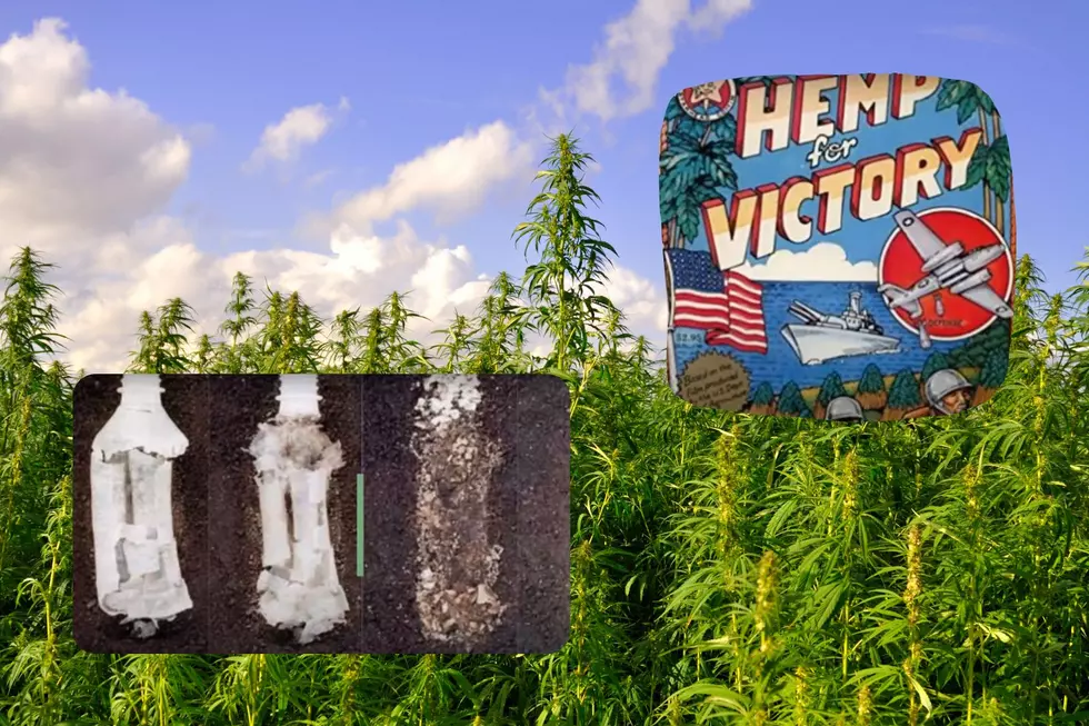 Colorado May See an Increase in Hemp Plastic, but What is it?