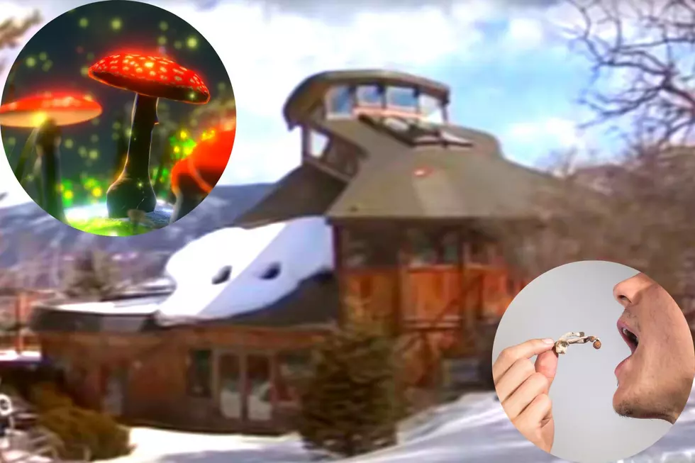 Man Built Colorado Magic Mushroom House on Hallucinogenic Drugs