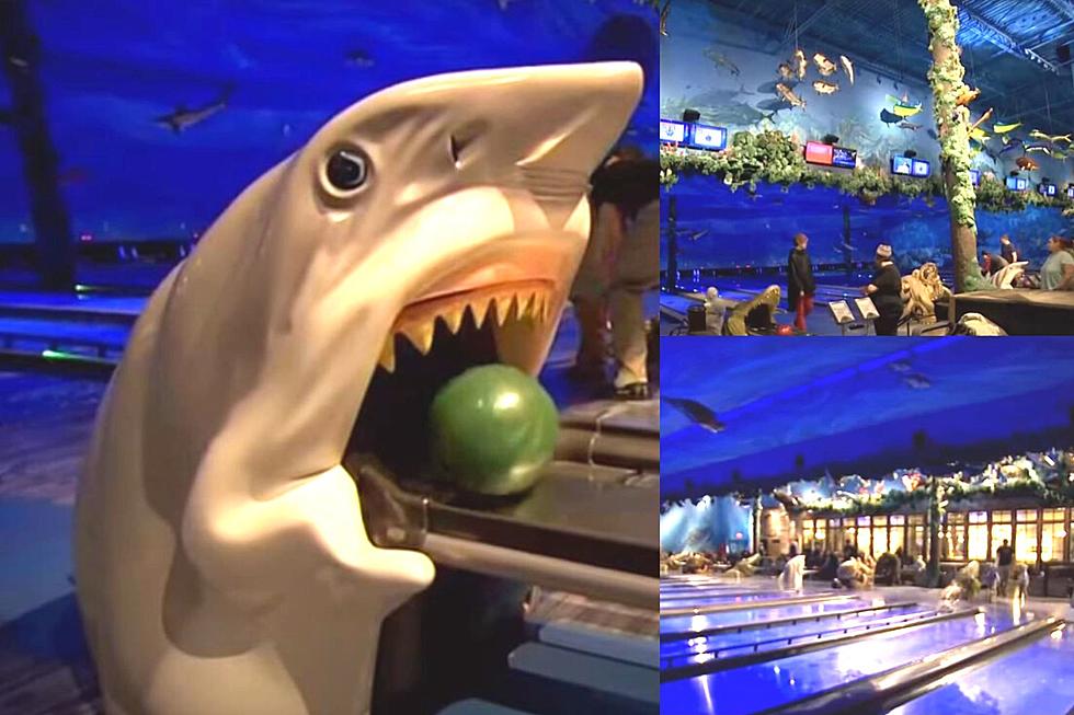 There was a Time when You Could Bowl with Sharks in Colorado