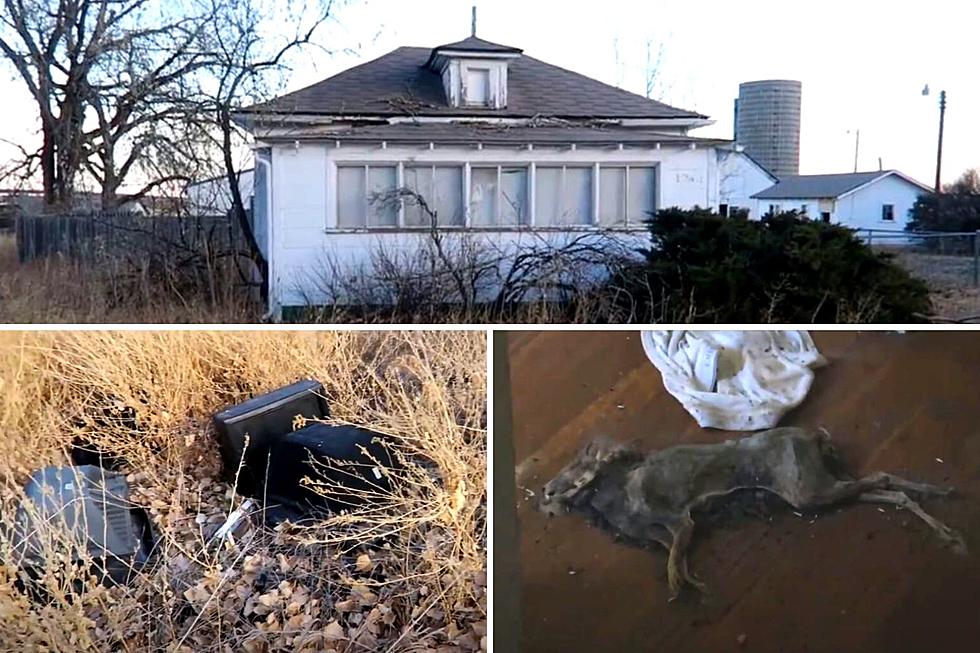 Abandoned Colorado Homestead: TV Graveyard, Animal Corpses + More