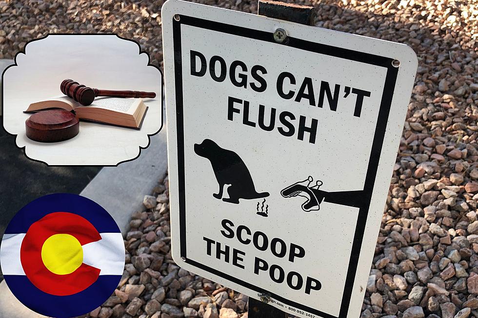 Colorado’s Dog Poo Laws are in Place for a Reason