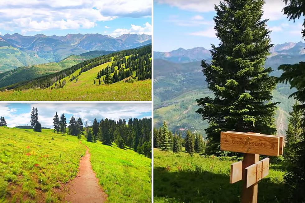 Summer on Vail Mountain: The Epitome of Colorado’s Natural Beauty
