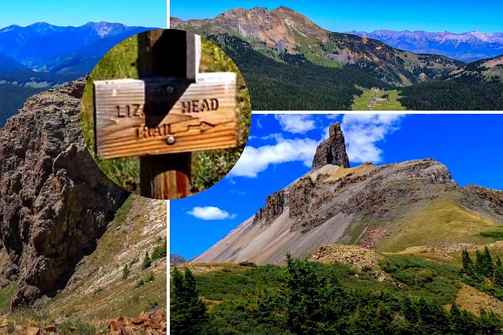 LOOK: Lizard Head Trail Should Be on Your Colorado Bucket List