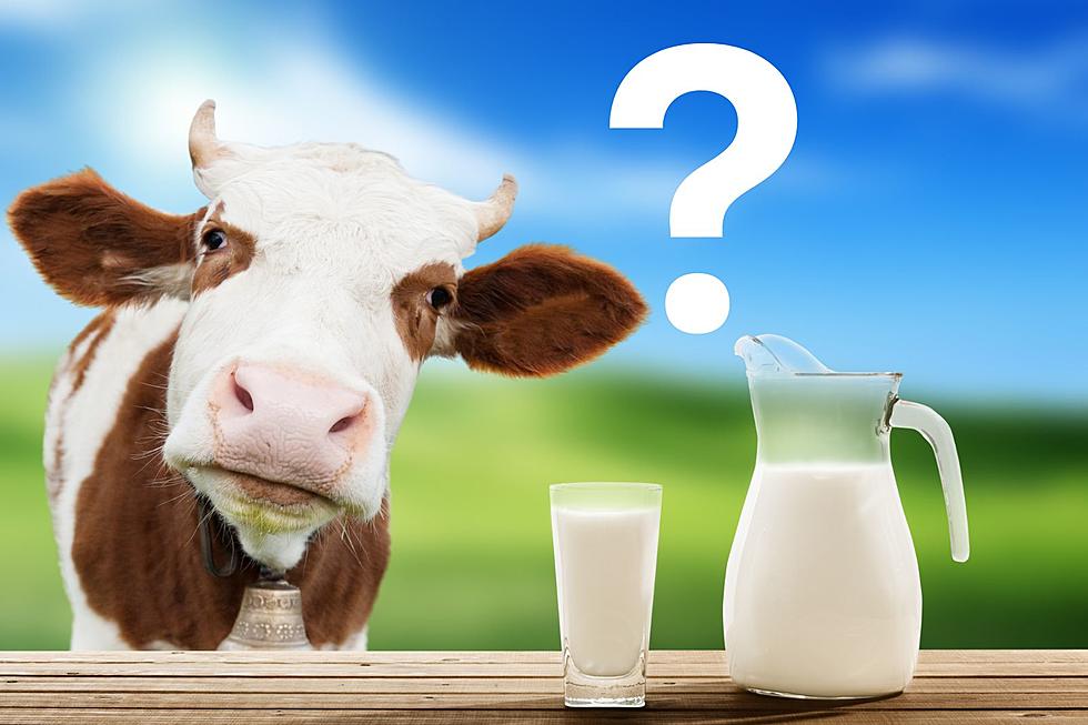 How Legal is Raw Milk in Colorado?