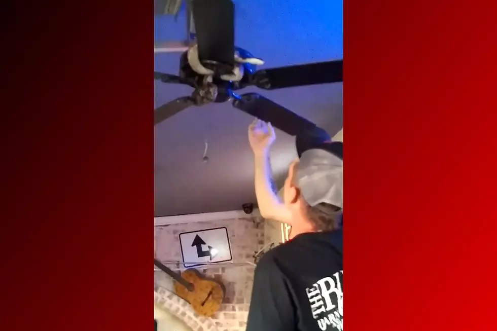 [Watch] people attempt to save a snake caught in a ceiling fan In Waco