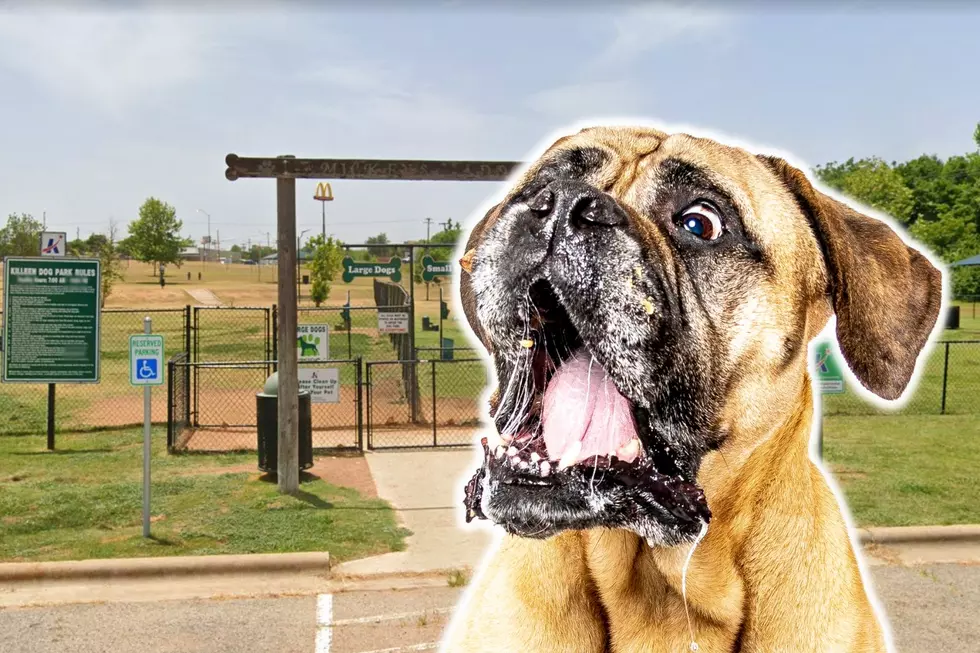 This Killeen, Texas Dog Park is Closed For a Good Doggone Reason