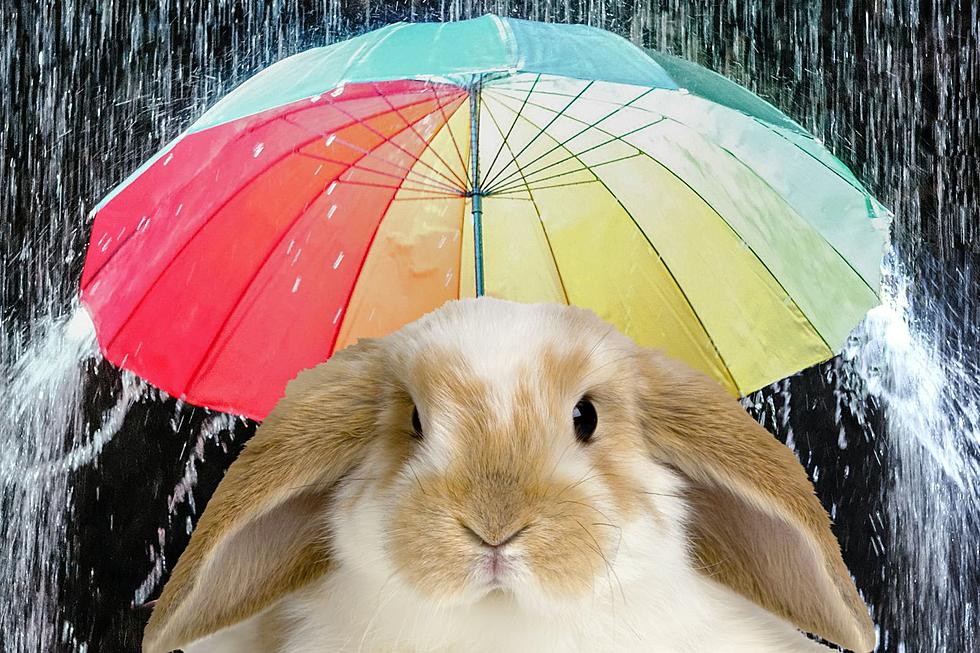 Will The Weather In Killeen, Texas Be Rainy For Easter?