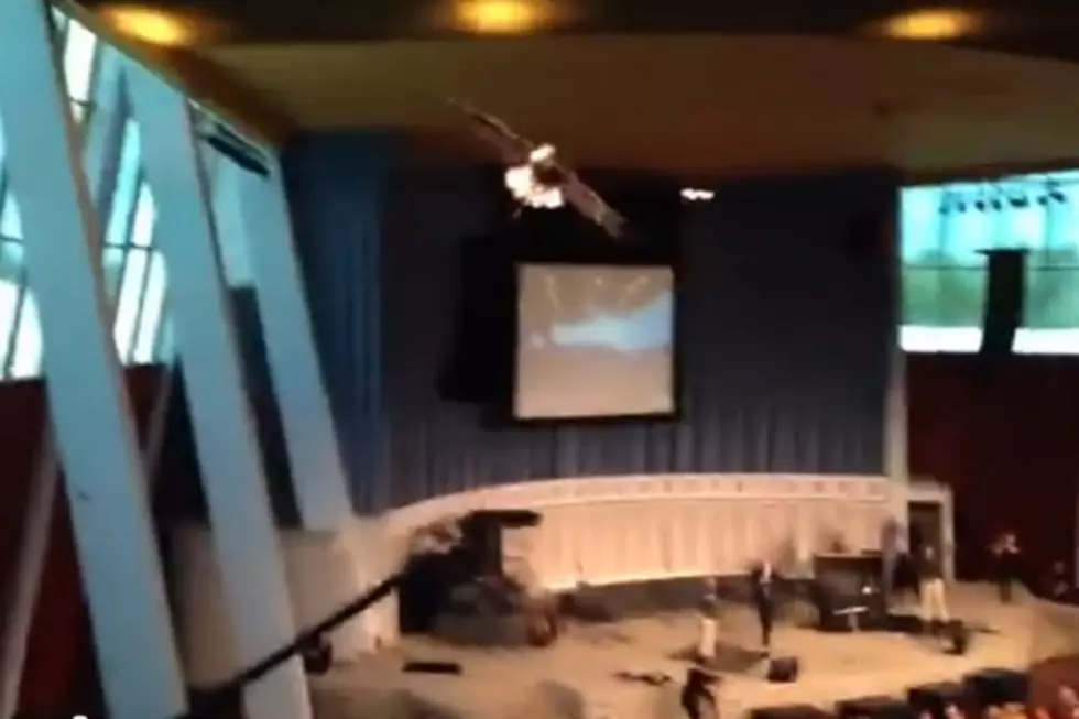 Bald Eagle Patriotically Flies Beak-First Into Glass Window When Released in Church Auditorium