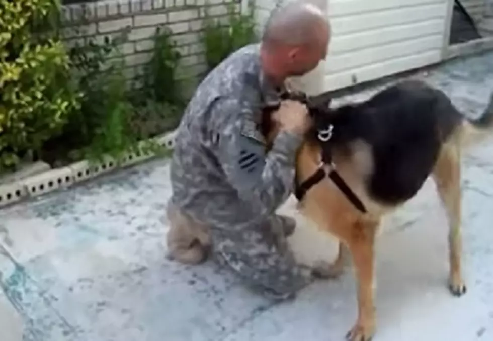 A Video Featuring a Soldier/K9 Reunion Will Make Your Monday